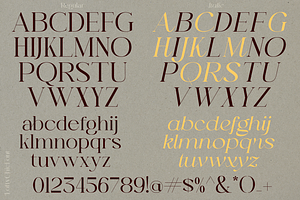 Lofty Chic - Elegant Serif