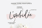 Wisteria Script, a Script Font by Calamar Studio (Thumbnail 3 of 13)