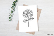 Flowers SVG Bundle, a Decorative Illustration by svgocean (Thumbnail 3 of 11)