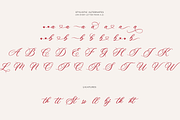 Luxury Romantic Elegant Script Font, a Script Font by Namara Creative Studio (Thumbnail 9 of 10)