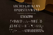 Mocnetla Display Serif Font, a Serif Font by Storytype Studio (Thumbnail 13 of 15)