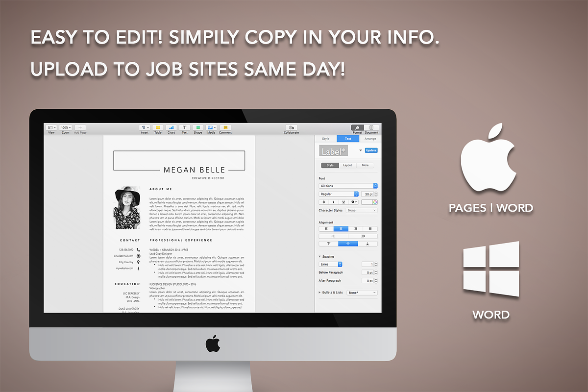 Professional Resume Cv Template, a Resume Template by The Creative Resume (Photo 8 of 8)