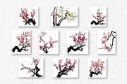 Watercolor clipart of blossom plum, a Decorative Illustration by ViktoriArt (Thumbnail 2 of 11)