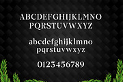 Hermas – Christmas Font, a Serif Font by Yukita Creative (Thumbnail 7 of 8)