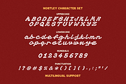 Nortley Organic Street Display Font, a Script Font by Creacy Studio (Thumbnail 9 of 9)