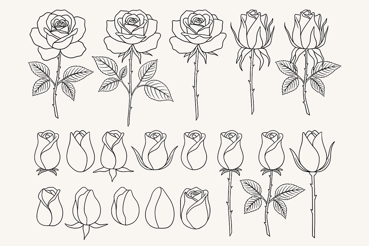 Rose Flower Line Art Illustration, a Decorative Illustration by Kusumaillustration (Photo 4 of 11)