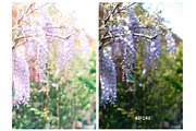 Rose & Blush Blogger Mobile Preset, an Action Add-On by Lux Light (Thumbnail 9 of 13)