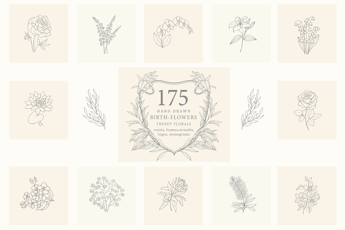 Birth-Flowers. Trendy Plants, Logos, a Seasonal Illustration by Designwork (Photo 1 of 21)