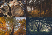 12 Photo Packs - 144 Nature Photos, a Nature Photo by PhotoMarket (Thumbnail 4 of 13)