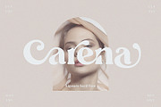 Ligature Font BUNDLE, a Serif Font by BrandSemut (Thumbnail 2 of 70)