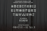 Garden Flags, a Serif Font by InermediaSTUDIO (Thumbnail 4 of 8)