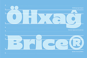 65% OFF Brice Font Family