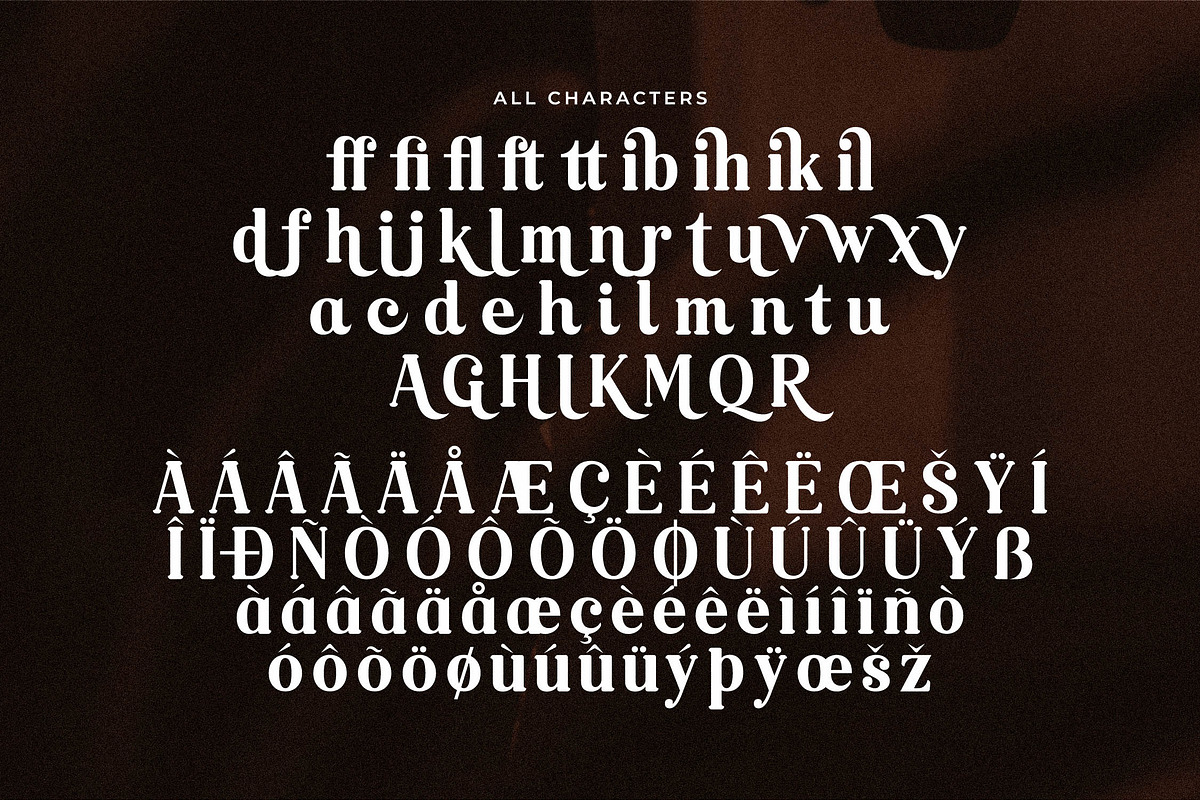 Raillinc Modern Display Serif Font, a Font by Storytype Studio (Photo 18 of 19)