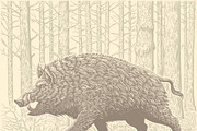 Design set Boar. Vector engraving, an Animal Illustration by Vector Engraving (Thumbnail 4 of 7)