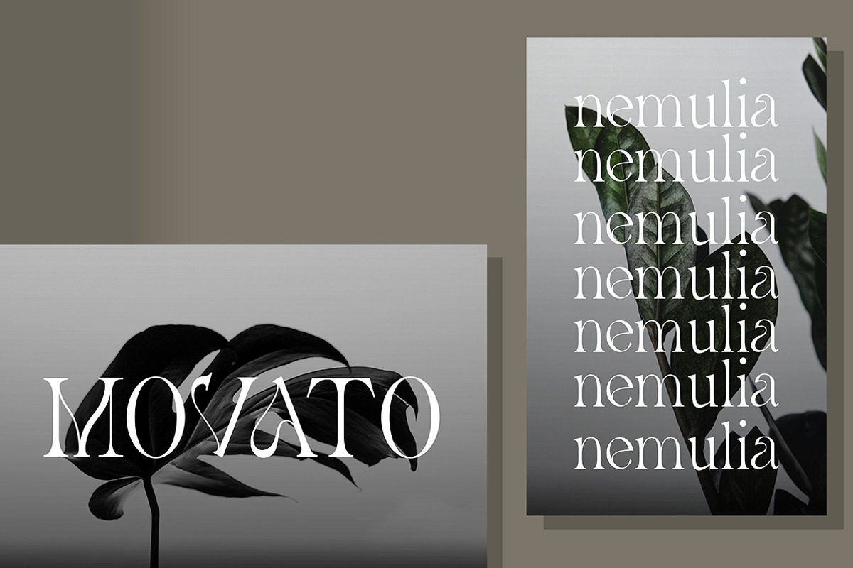 Avander | Modern Stylish, a Serif Font by Muntab_Art (Photo 5 of 13)