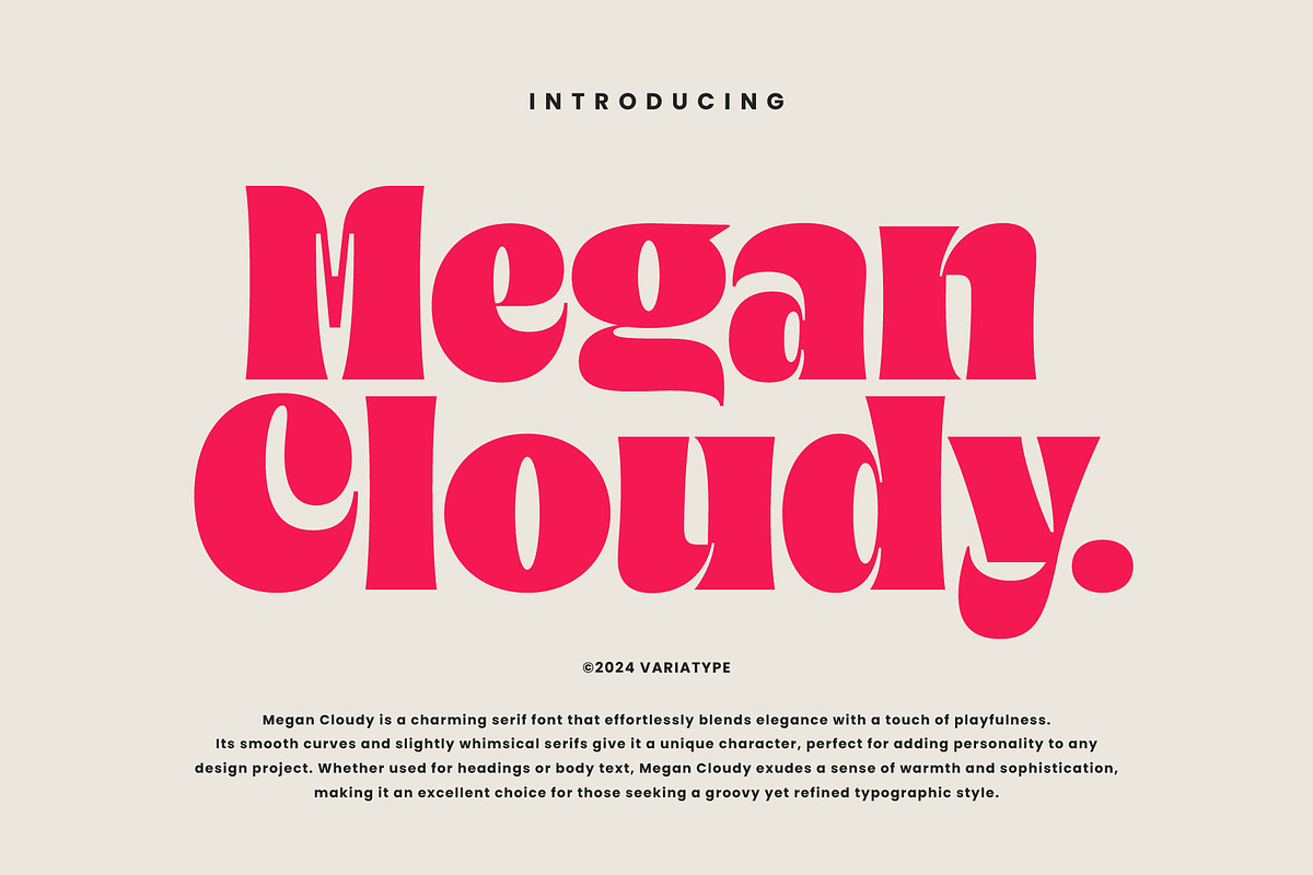 Megan Cloudy - Charming Serif, a Serif Font by Variatype (Photo 1 of 10)