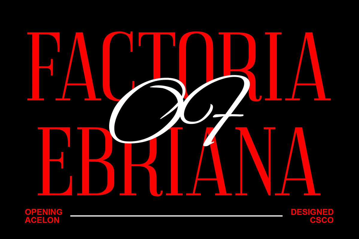 Acelon – Condensed Serif, a Sans Serif Font by Craft Supply Co. (Photo 2 of 8)