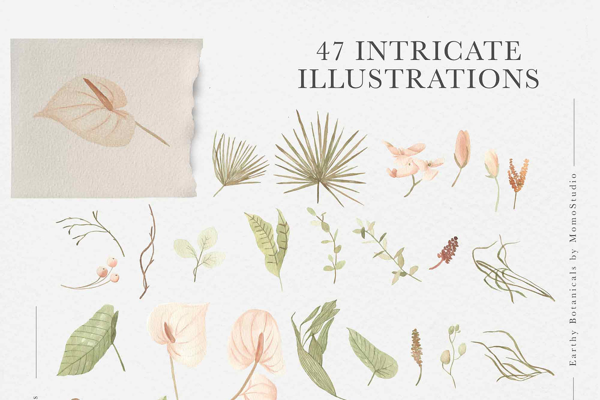 Earthy Botanicals Florals & Leaves, a Decorative Illustration by Momo Studio (Photo 6 of 12)