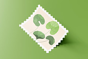 Gotu Kola or Centella asiatica plant, a Food Illustration by Good Studio (Thumbnail 4 of 4)