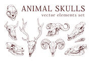 Hand drawn animal & bird skulls set, an Animal Illustration by Good Studio (Thumbnail 1 of 2)