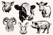 Farm Animals Collection 34 arts, a Graphic by IPVector (Thumbnail 4 of 7)