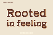 Terra Fable Sculpted Slab Serif, a Slab Serif Font by Colorsfav (Thumbnail 5 of 11)