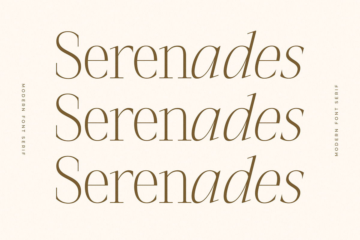 Seraphine Modern Font Serif, a Serif Font by Letterena Studios (Photo 5 of 15)