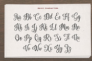 Nouradilla Script, a Script Font by Mikrojihad Typography (Thumbnail 2 of 8)