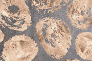 Rose Brushed Pewter & Painted Gold, a Pattern Graphic by Blixa 6 Studios (Thumbnail 2 of 6)