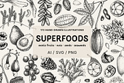 Superfoods: Fruit & Nuts Vector Set, a Food Illustration by Yevheniia (Thumbnail 1 of 11)