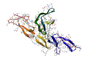Fibrillin glycoprotein molecule, a Technology Illustration by Leonid Andronov