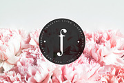 PREMIUM 120 Stamp Logo Bundle, a Branding & Logo Template by IsikChic (Thumbnail 6 of 30)