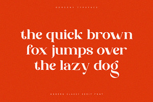 Borgeny Modern Classy Serif Font