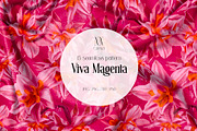 Viva Magenta - pattern collection, a Pattern Graphic by NNclipart (Thumbnail 1 of 20)