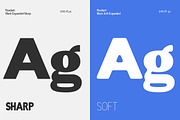 Readant Expanded - Family Font, a Sans Serif Font by Rastype (Thumbnail 9 of 10)