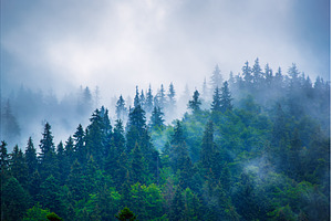 Misty mountain landscape, a Nature Photo by Nature and travel