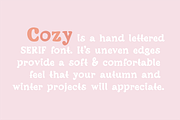 COZY a Friendly Serif .OTF Font, a Serif Font by Blush Font Co. (Thumbnail 4 of 10)