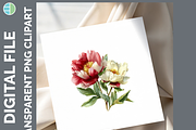 Wildflower Illustration Bundle PNG, a Decorative Illustration by Enliven Designs (Thumbnail 7 of 8)