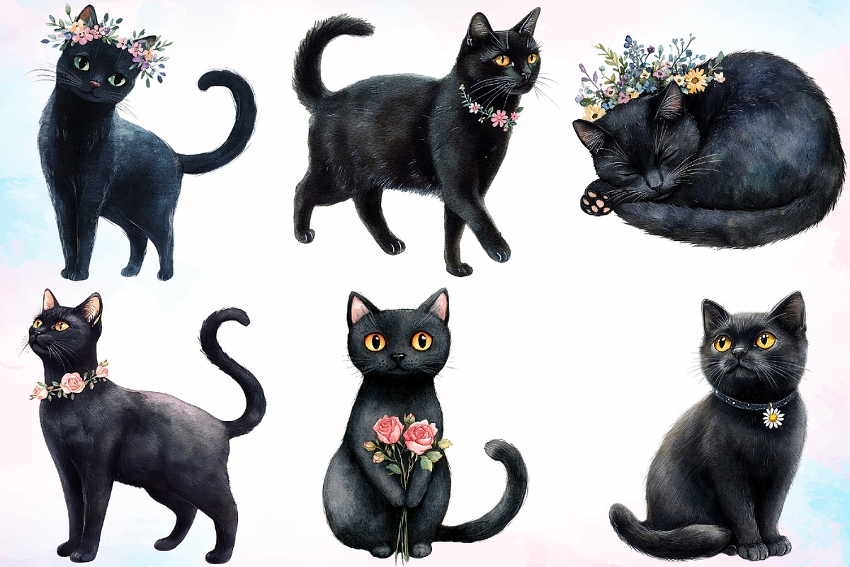 Watercolor Floral Black Cat Clipart, a Seasonal Illustration by Canvas ...