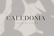 Volgarie - Modern Serif Font, a Serif Font by Flawless And Co (Thumbnail 7 of 10)