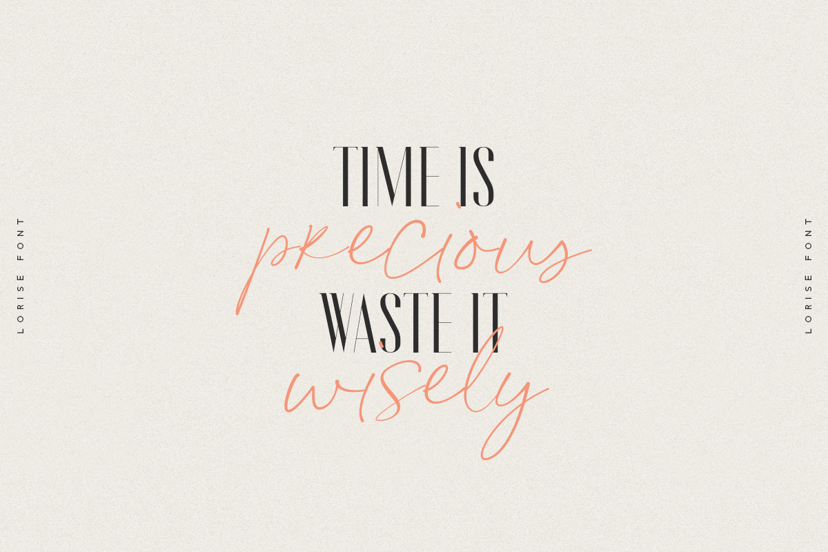 Lorise Font, a Sans Serif Font by vuuuds (Photo 13 of 21)