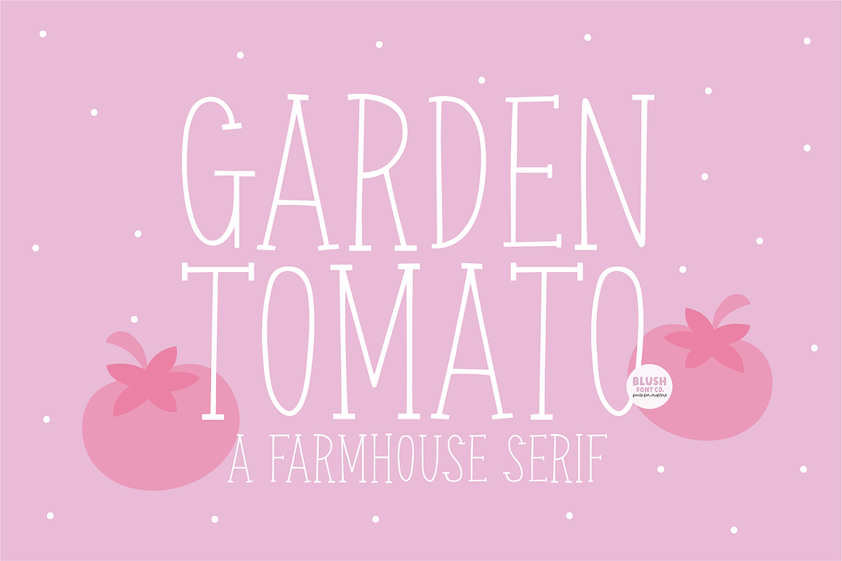 GARDEN TOMATO Farmhouse Serif Font, a Serif Font by Blush Font Co. (Photo 1 of 5)