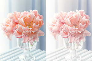 Pastel Colors Lightroom Presets