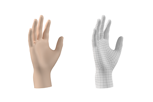 Endomorph Male Hand Base Mesh 02