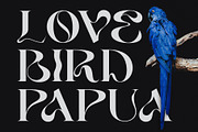 Serba, a Serif Font by Sealoung (Thumbnail 5 of 11)