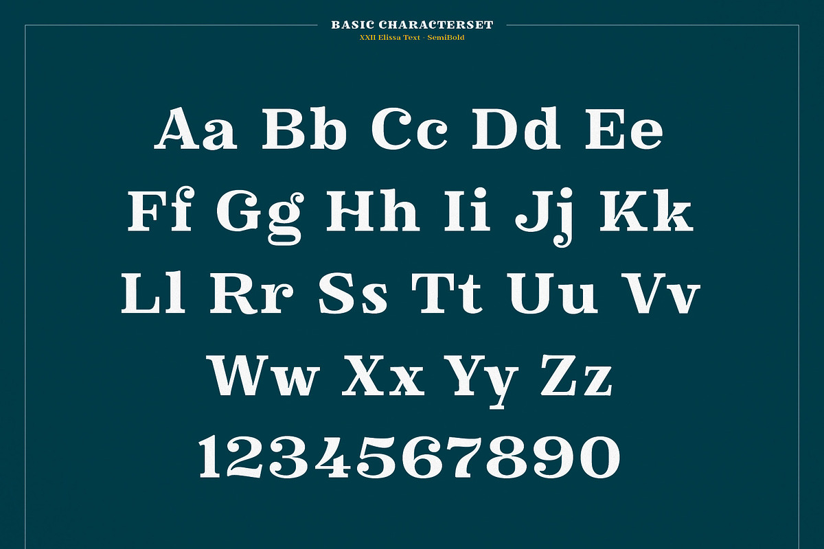 XXII Elissa, a Serif Font by Doubletwo Studios (Photo 20 of 25)