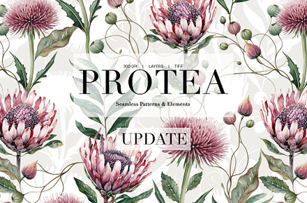 Protea Seamless Patterns | UPDATE, a Pattern Graphic by LEAFure