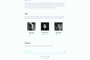 Mint - One Page HTML Template