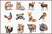Forest Animals - Woodland Clipart, an Illustration by Sublimation Artist (Thumbnail 3 of 6)