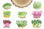 My garden. Watercolor set, an Illustration by Love Watercolor Store (Thumbnail 6 of 13)